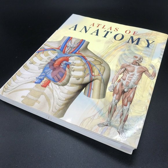 Atlas of Human Anatomy (2006, Trade Paperback, Reprint) - Picture 4 of 12